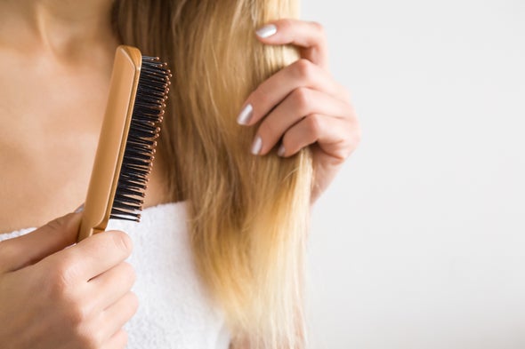 An Image showing a lady holding her hair and a hair brush with broken hair entangled around it.